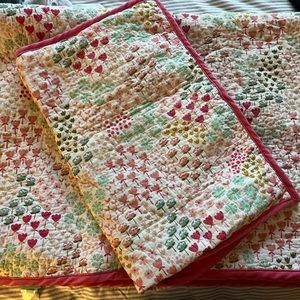 Pillowfort twin quilt and sham